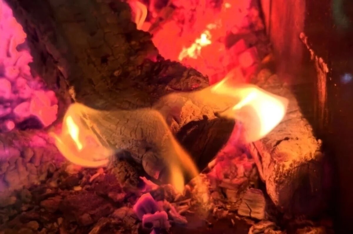    За сутки в Алтайском крае потушили 15 пожаров