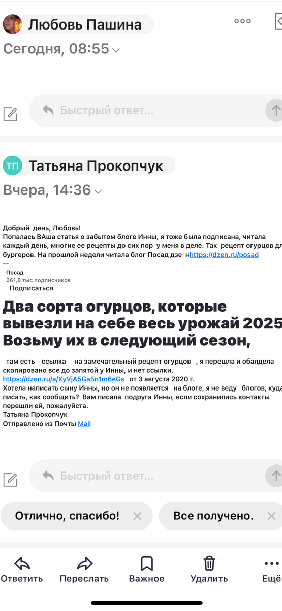 Скрин с почты автора. 