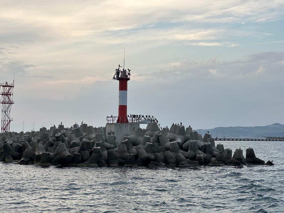 Фотография автора. 