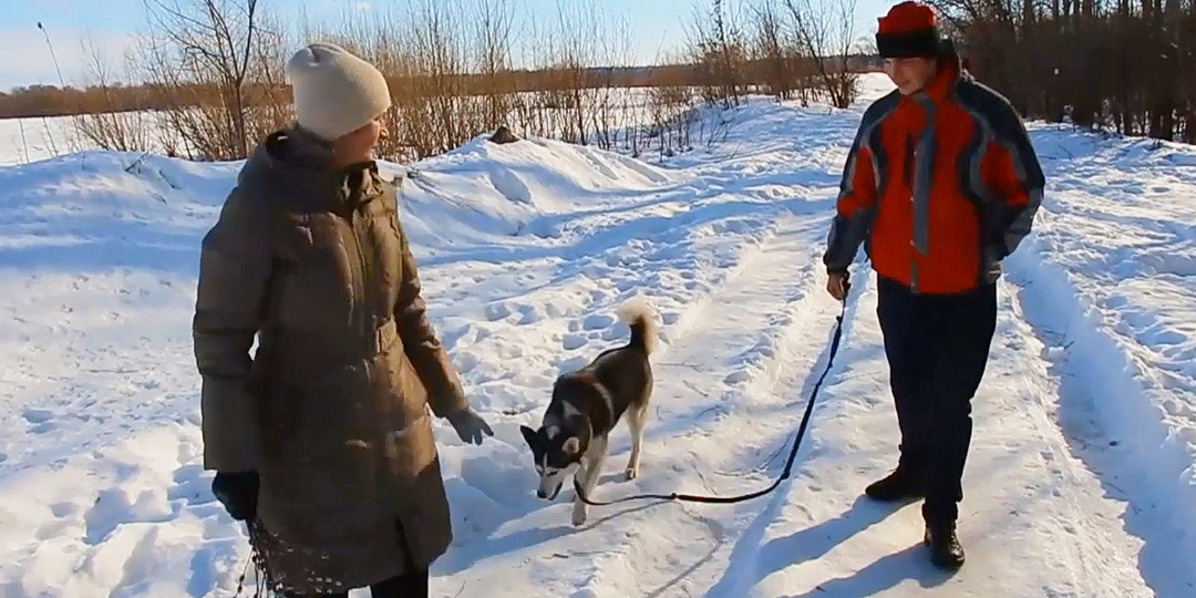 ПРИЗВАНИЕ СНЕГА К НОВОМУ ГОДУ! Три разных клипа моего предзимнего стихотворения «СНЕГ ВЕНЧАЛЬНЫЙ»