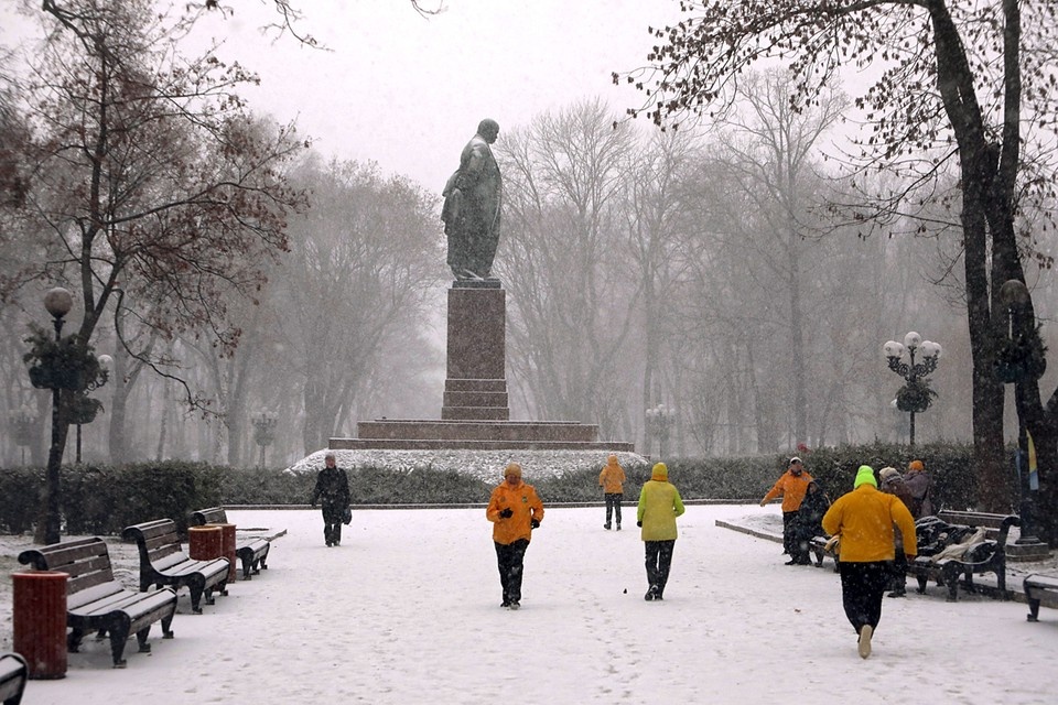    Но тогда надо по тому же принципу снести все памятники Тарасу Шевченко. Фото: Zuma\TASS