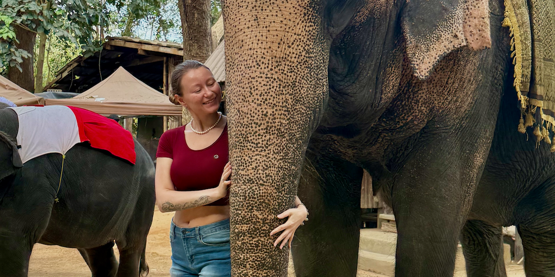 Зимовка в Таиланде, Паттайя: деревня слонов и ее обитатели