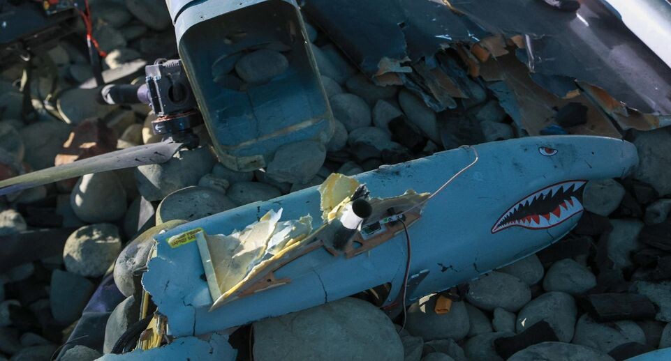    Shatokhina Natalia/news.ru / www.globallookpress.com