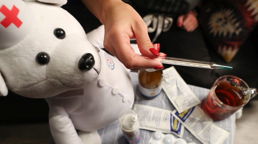    Фото: ИЗВЕСТИЯ/Андрей Эрштрем