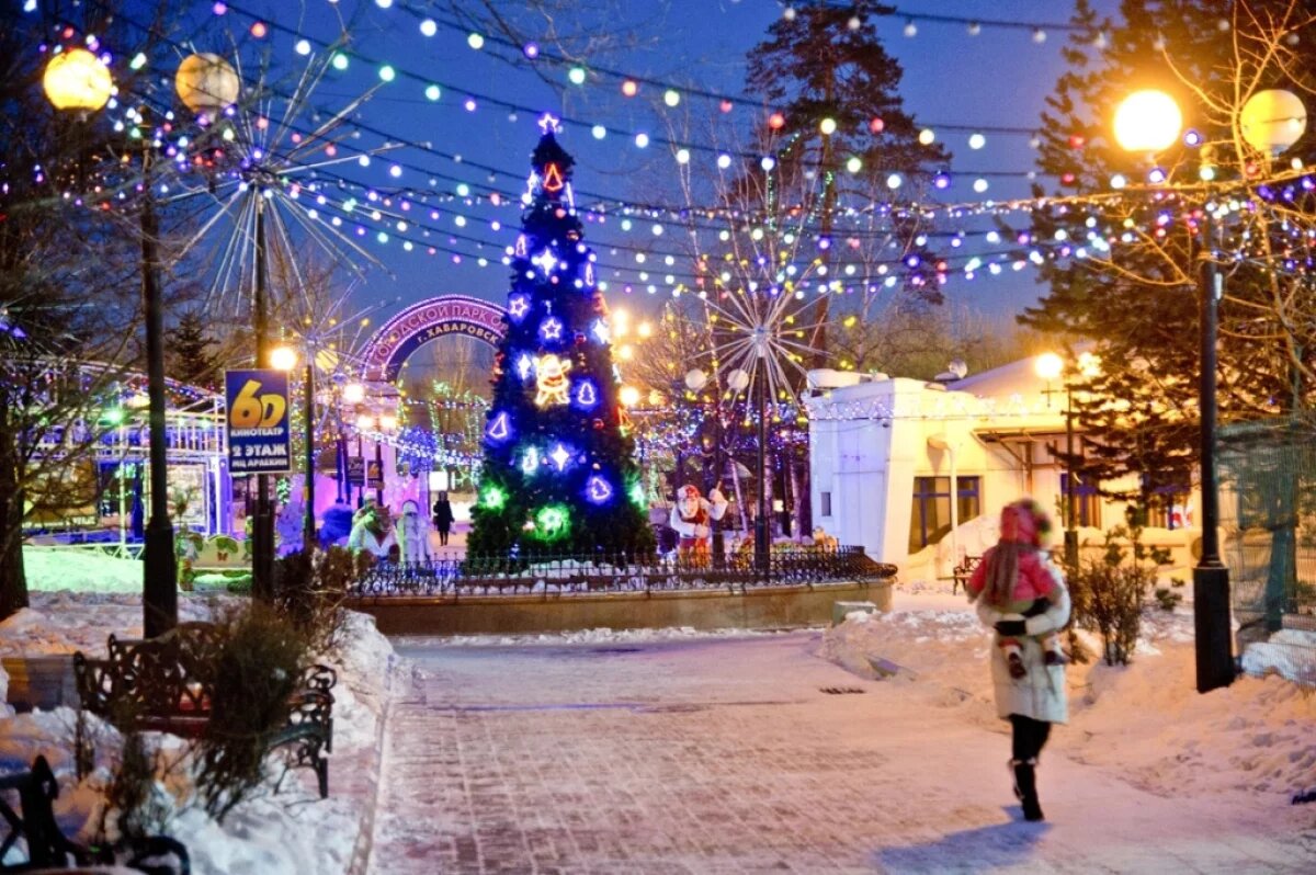    Мэр получил городским службам привести Хабаровск в порядок к Новому году