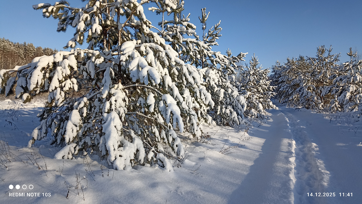 Ясный, солнечный день декабря. Фото автора.