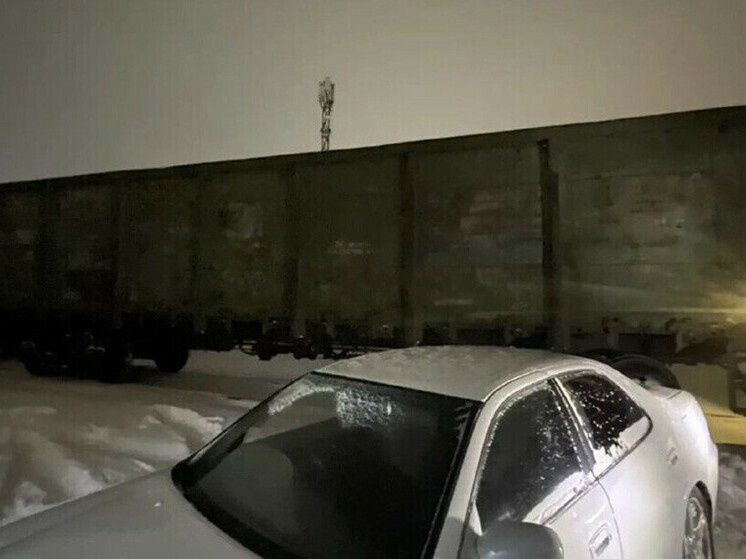     Фото: Забайкальское ЛУ МВДТ