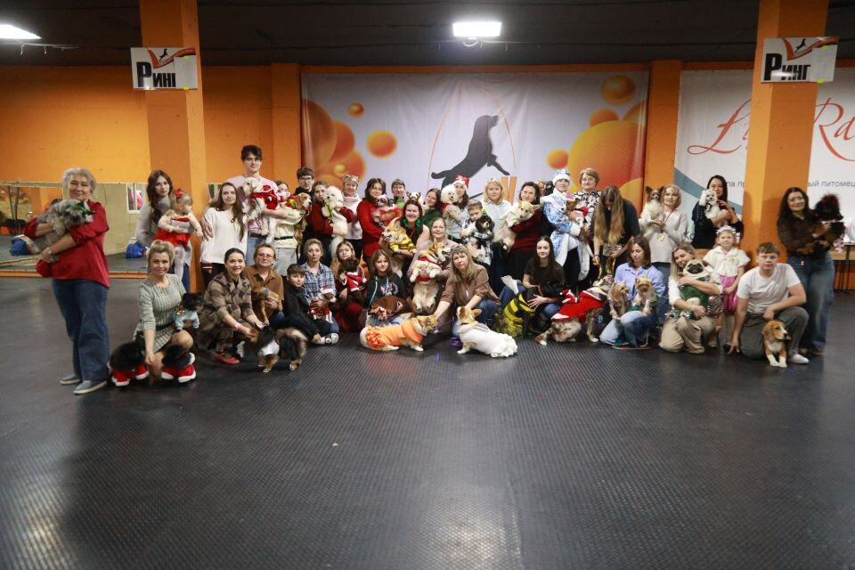    Новогоднее дог-шоу в Барнауле. Источник: Олег Укладов