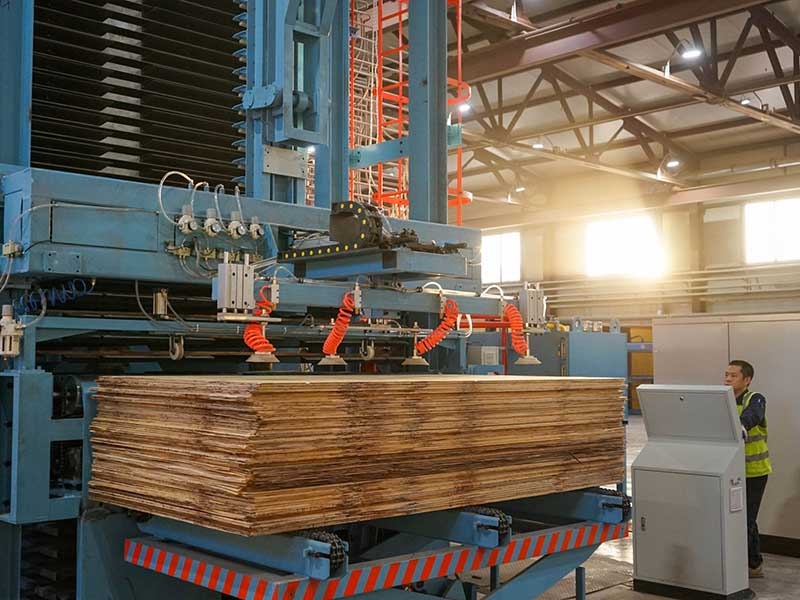 Фото: пресс-служба «Лузалес»