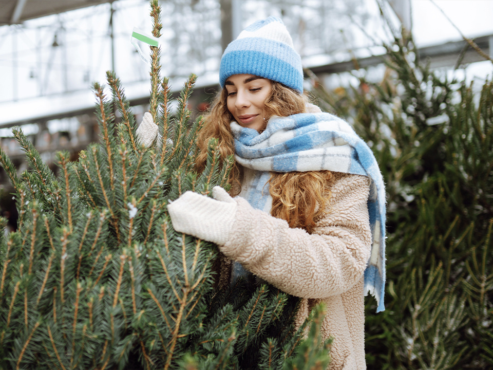    Фото: istockphoto.com/Maksym Belchenko