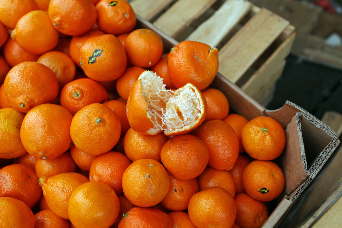    Фото: abn.agency