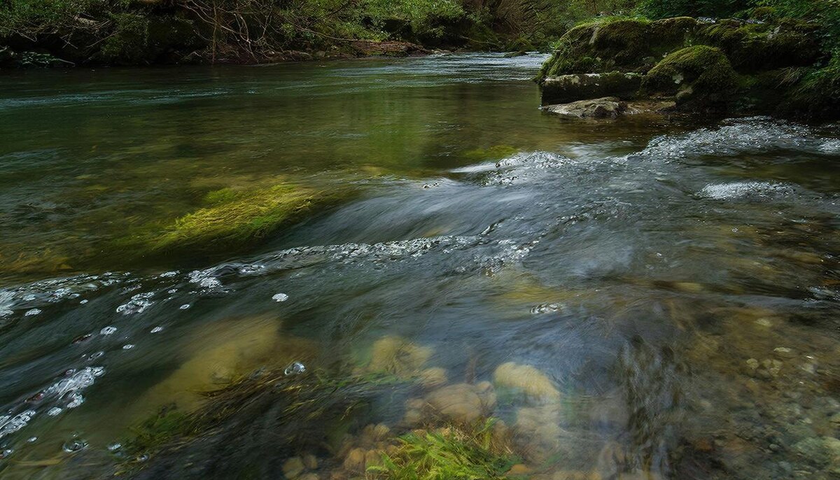 День для получения желаемого и преумножения существующих благ