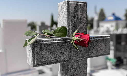 КАНАЛ "VIDOK": YOUTUBE/RUTUBE