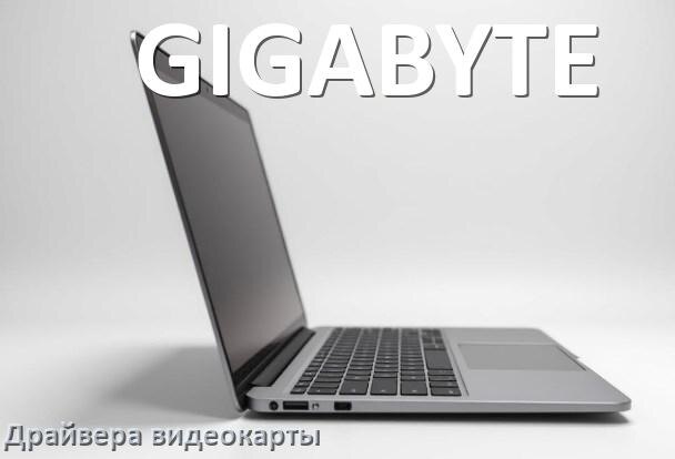 
Драйвер видеокарты ноутбука GIGABYTE для Windows 10 и 11