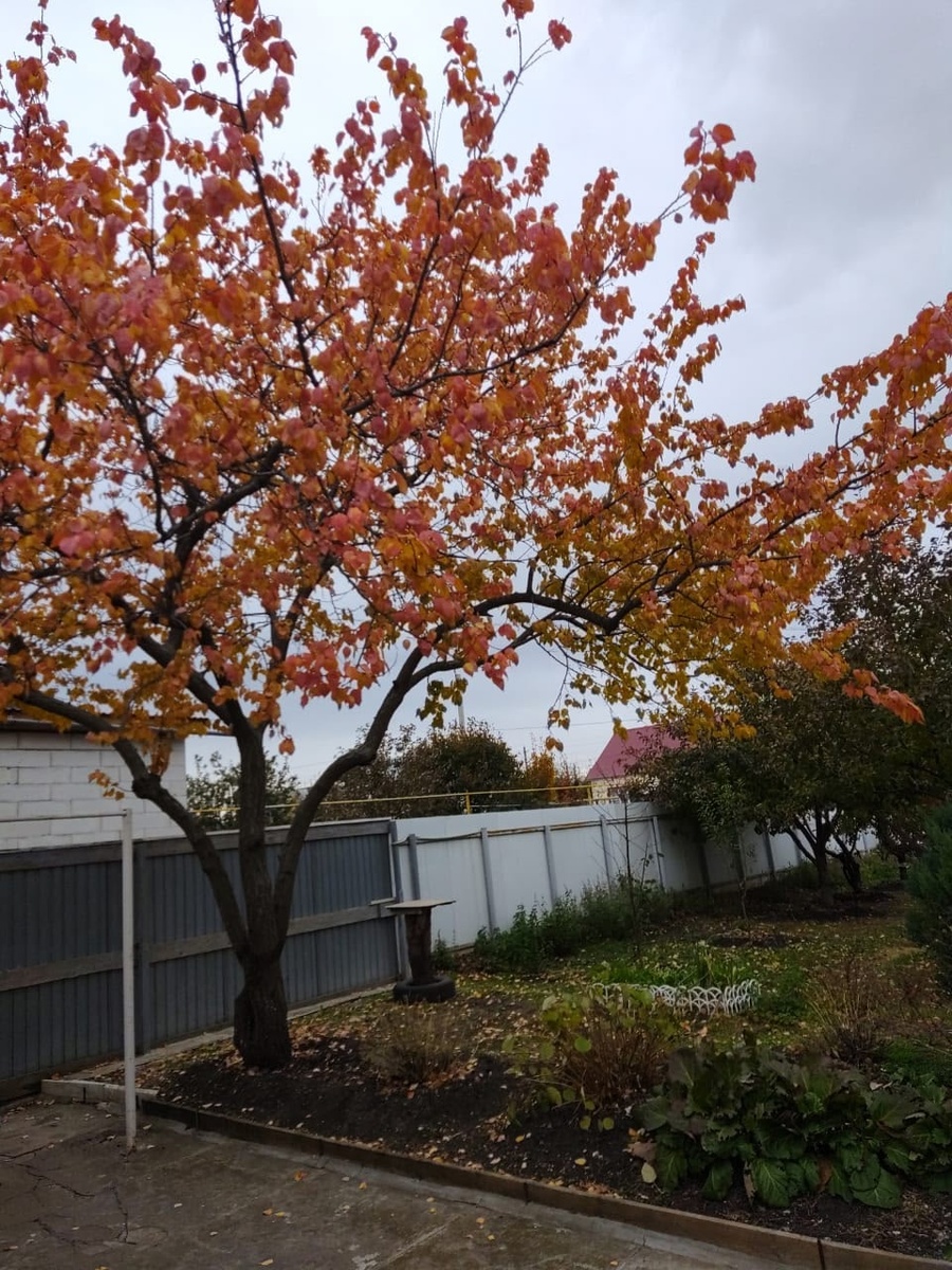    Фото: Марина Куцина