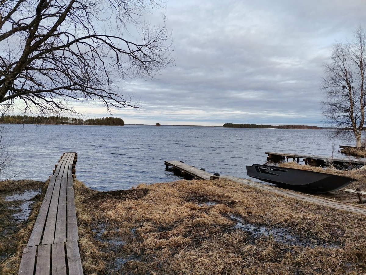    фото: © Сохраним озеро Шуезеро