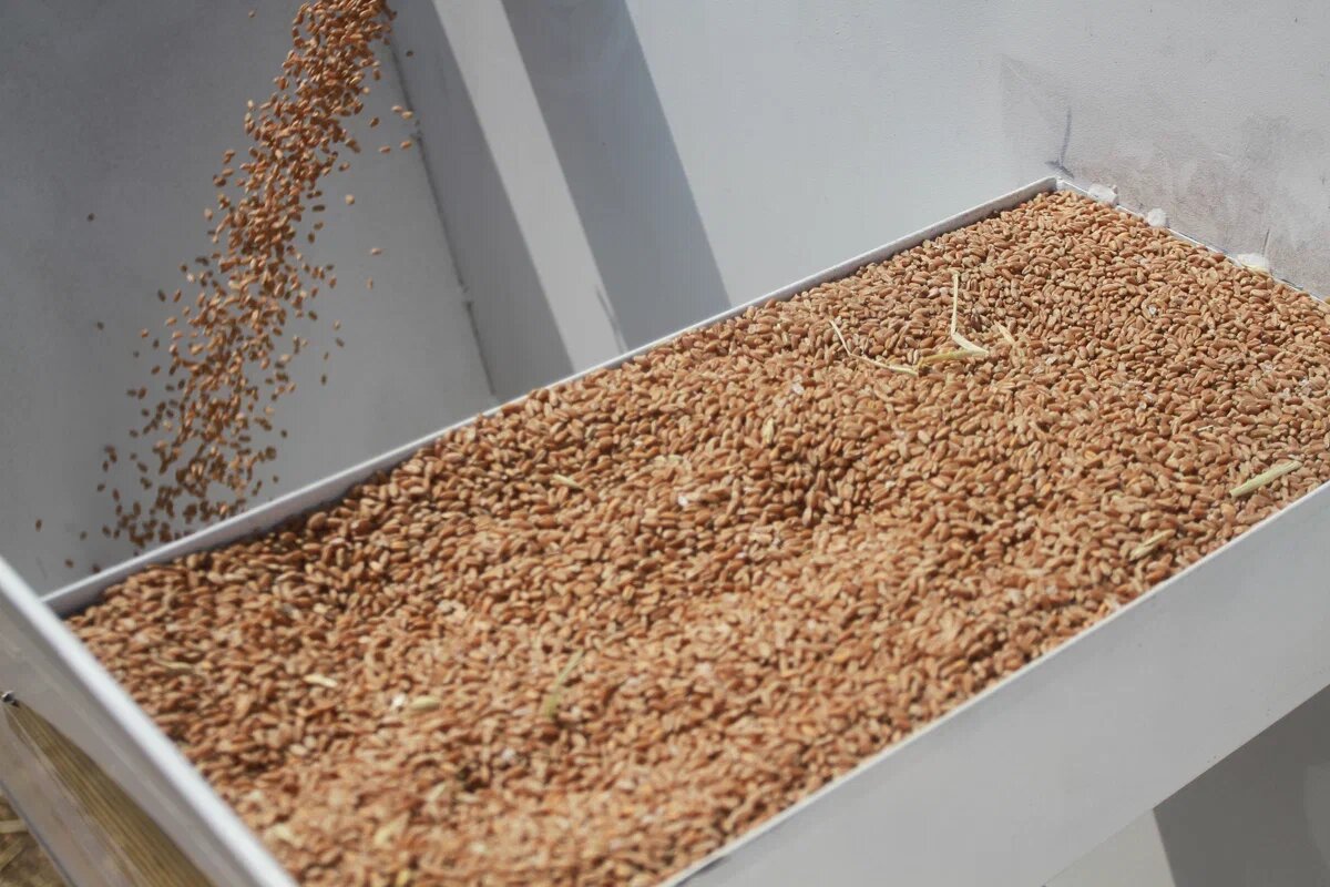    Павел Хацаюк / ИД «Вечерняя Казань»