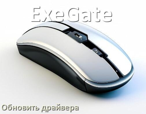 
Как обновить драйвер мыши ExeGate и установить в Windows 11 и 10