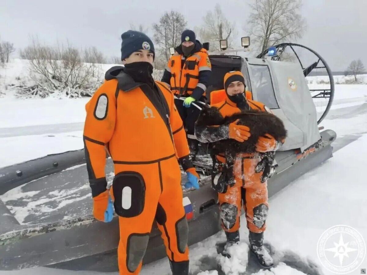    Спасатели спасают животных из озера Узеть в Бирском районе в Уфе | © Фото : Кирилл Первов/Telegram