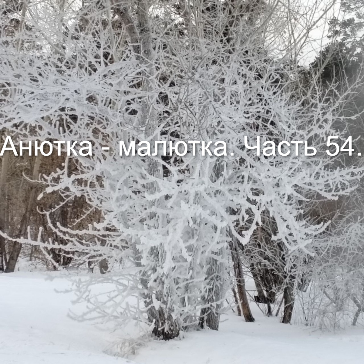 Фото автора.