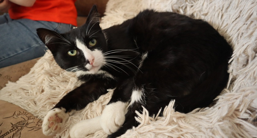    Фото из архива редакции