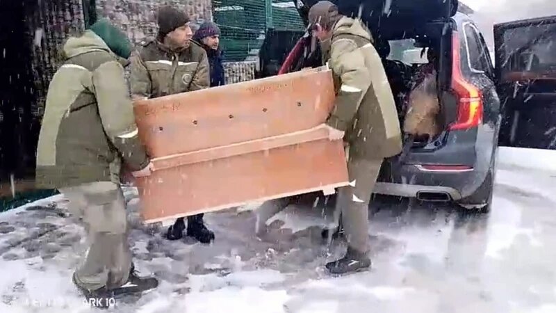     «Невидимая» росомаха уже мчит к Барнаульскому зоопарку Сергей Писарев