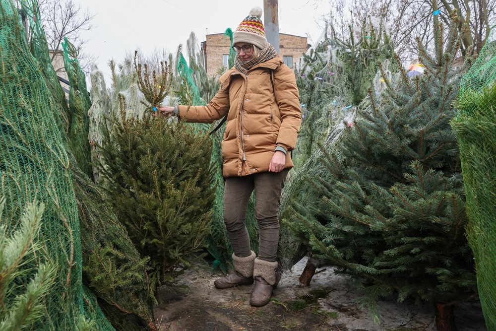    Спрос на срубленные деревья снижается, но любителей натуральных елей и сосен еще немало. / Алексей Белкин / News.ru / ТАСС