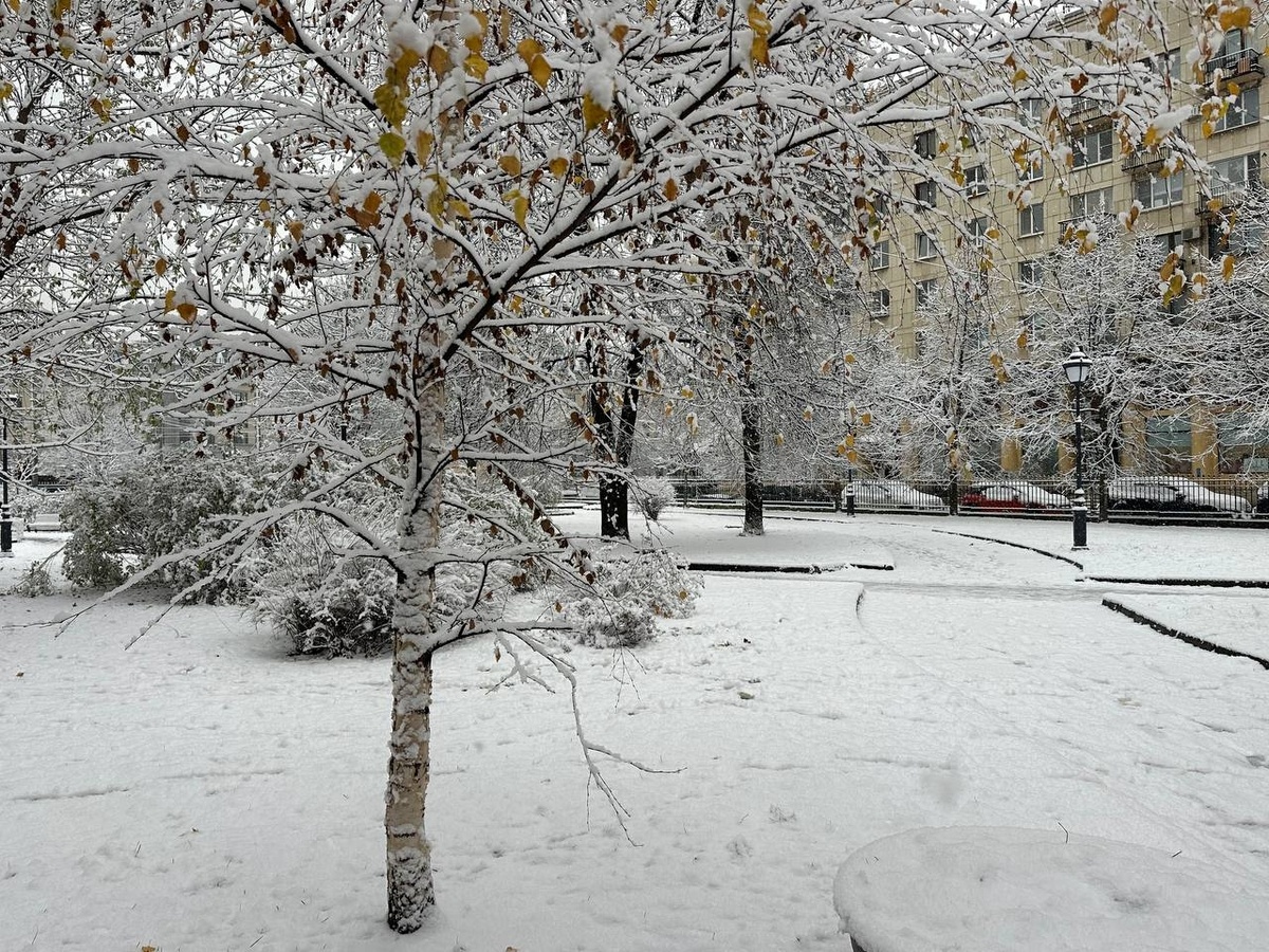     Фото: "Бриф24"