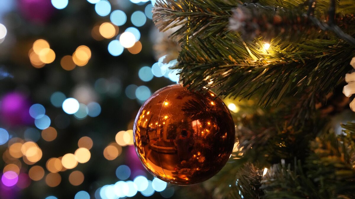    Фото: ИЗВЕСТИЯ/Дмитрий Коротаев