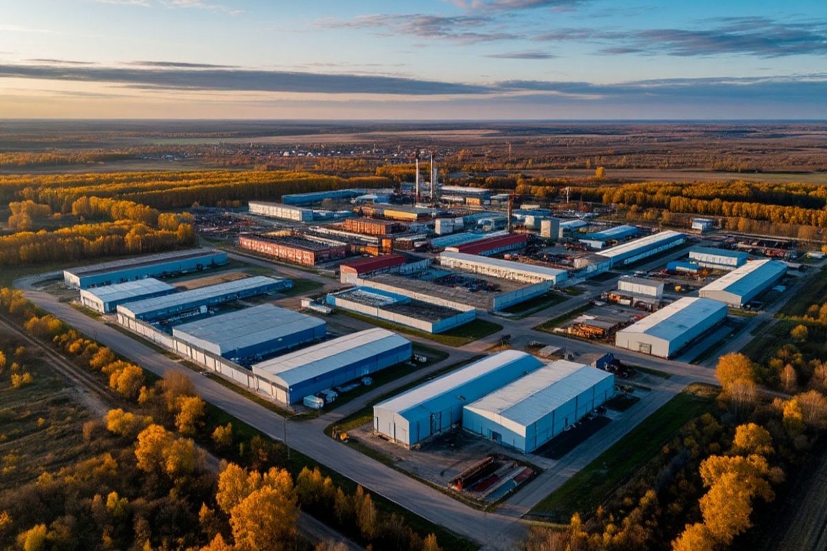    Фото: Коллаж RuNews24.ru