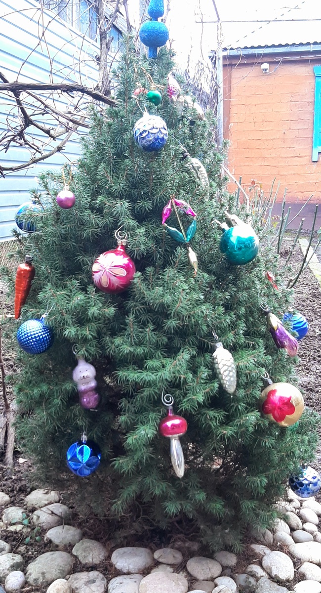 Как-то так. А снега не было и нет