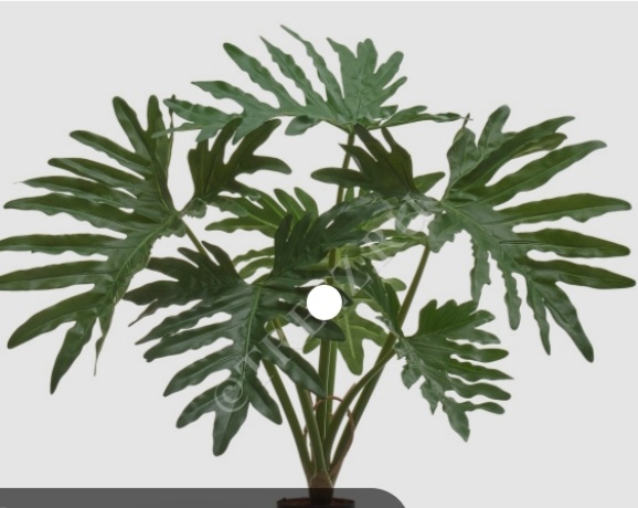 Фото с интернета.