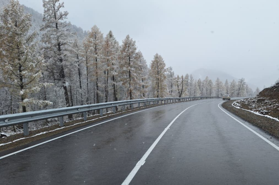    Дорога в Республике Алтай. Источник: altai-republic.ru