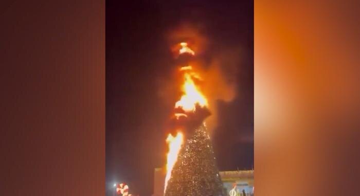 Обложка © Telegram / Николай Левшиц - channel in Georgia / Грузия