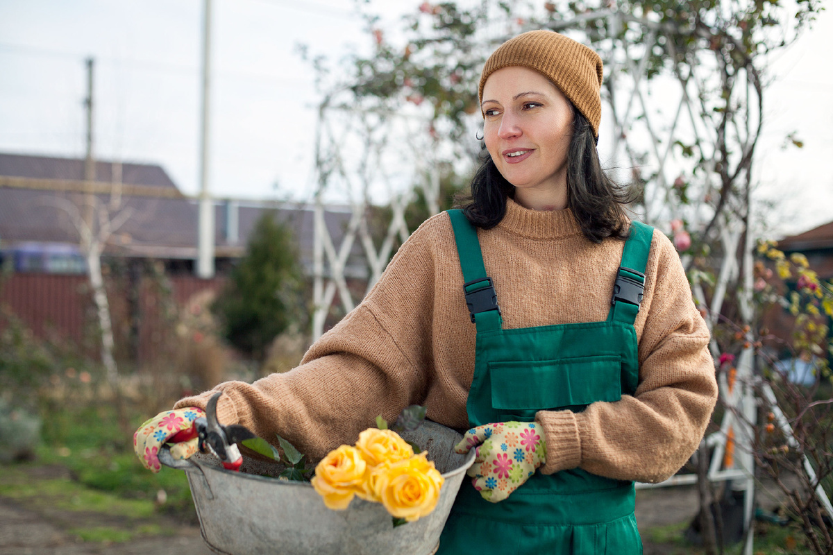 «Счастье в розах», выпуск №49, 23.12.2025г.