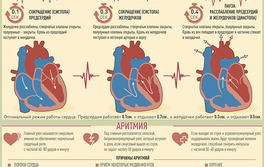 Сердце сбивается с ритма: что на самом деле происходит, когда «замирает» или «колотится» — и как не пропустить тревожные сигналы