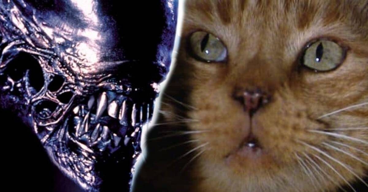 источник - https://static0.srcdn.com/wordpress/wp-content/uploads/2023/06/alien-breaks-no-cats-rule.jpg?q=70&fit=crop&w=1200&h=628&dpr=1