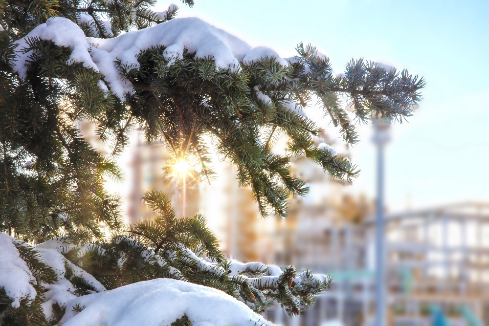    Нефтеперерабатывающий завод КИНЕФ в Киришах большое внимание уделяет экологии / Фото: Наталья Петрова