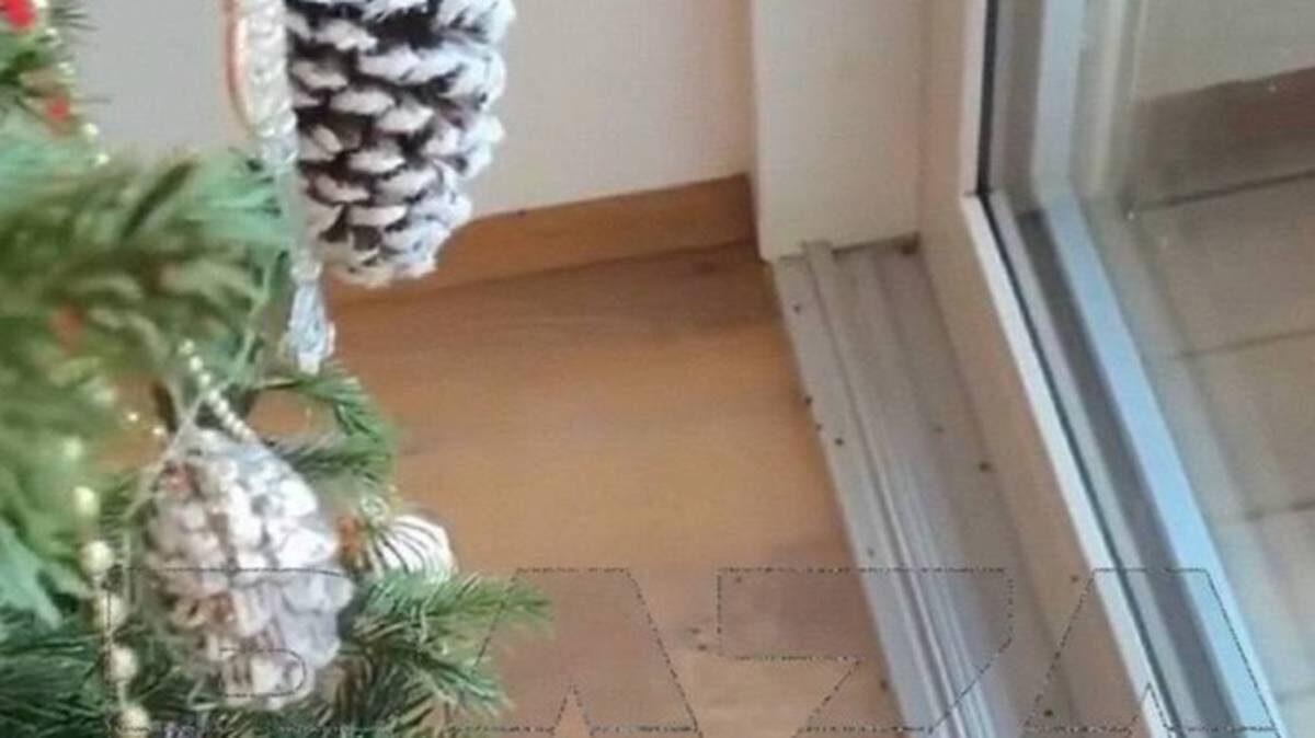    Фото: Telegram / Baza