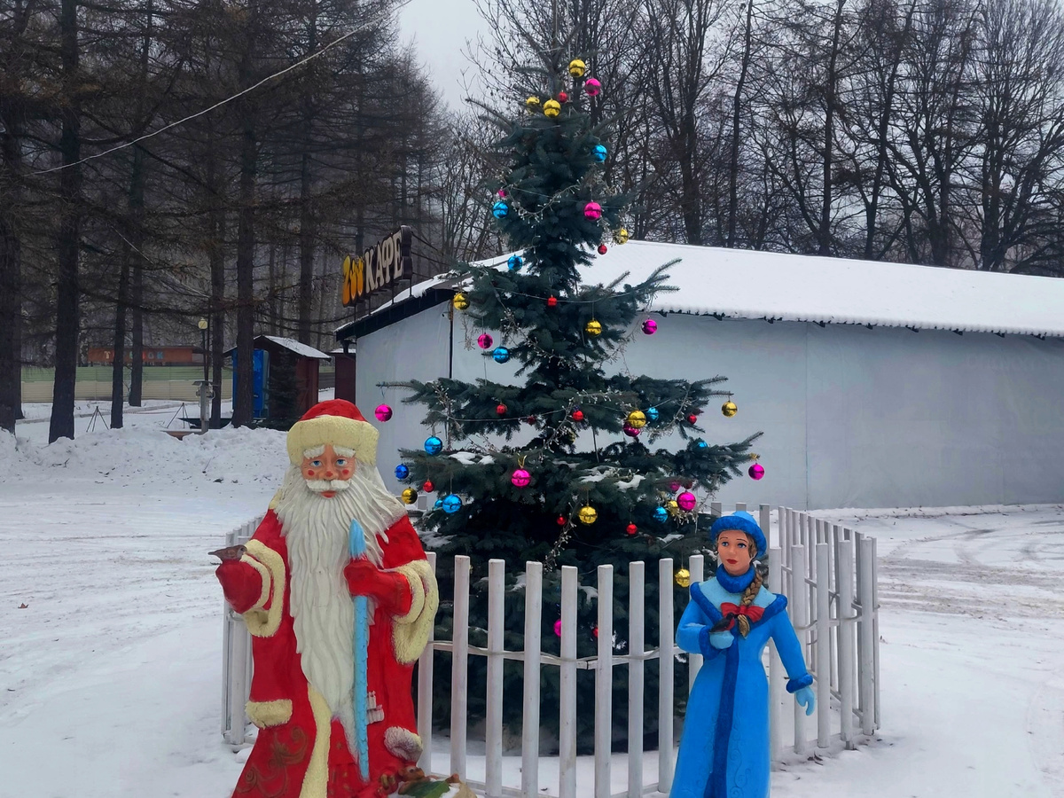 Добро пожаловать в новогодний мир животных!