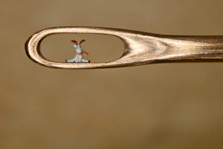 © Фото Владимира Анискина.📷
