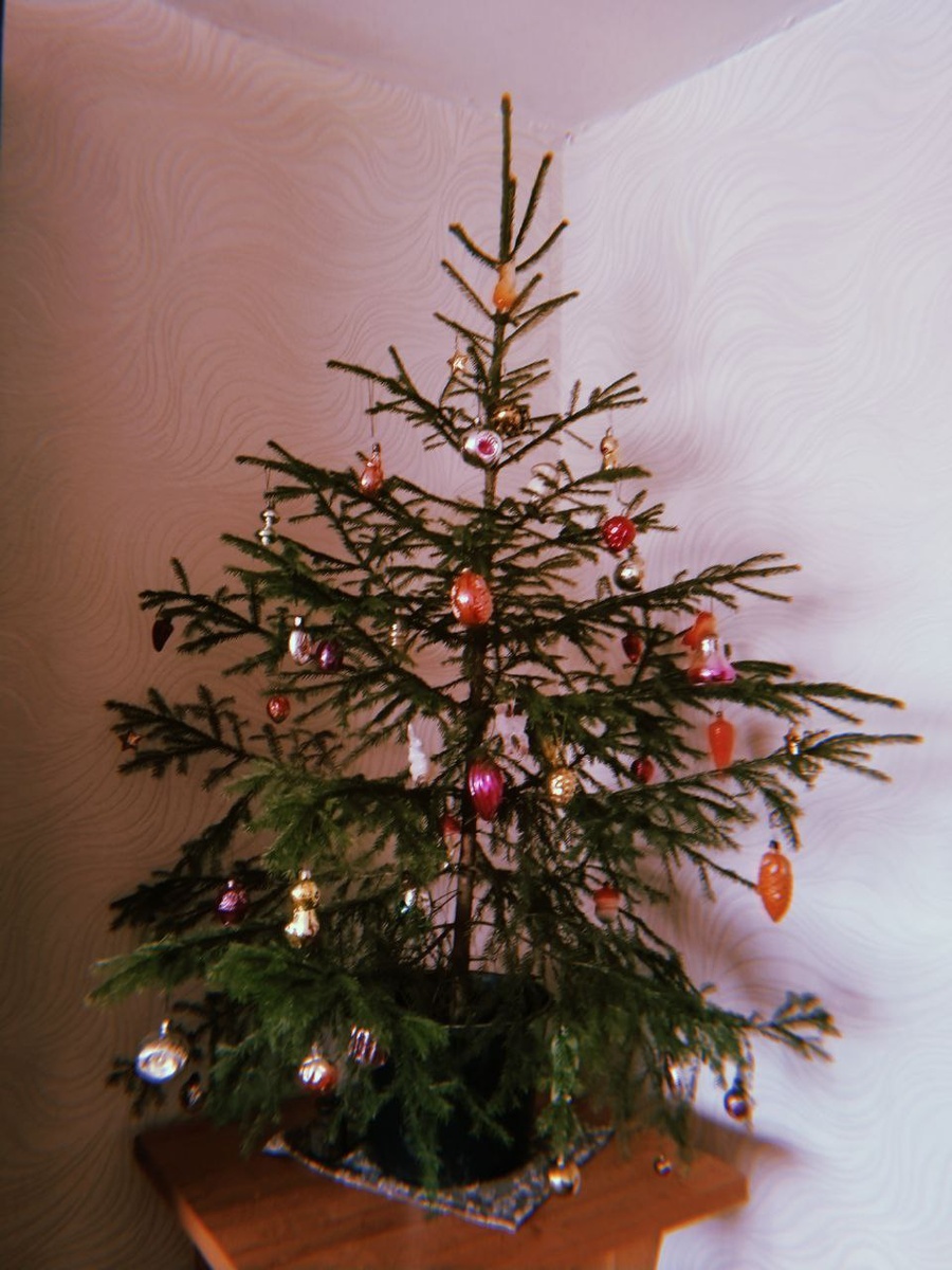 Раньше я под ёлку в детстве залезала. Сидела там и рассматривала блики от гирлянд, которые папа каждый год красил свежей технической краской  трёх цветов. 