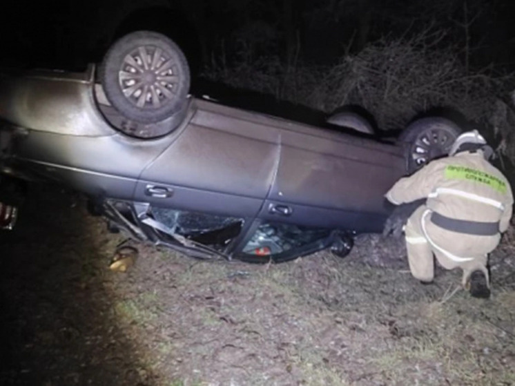     Фото: Противопожарная служба Курской области