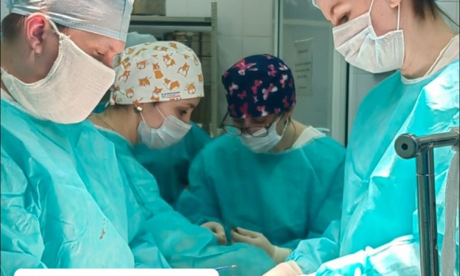    фото: © Минздрав Карелии