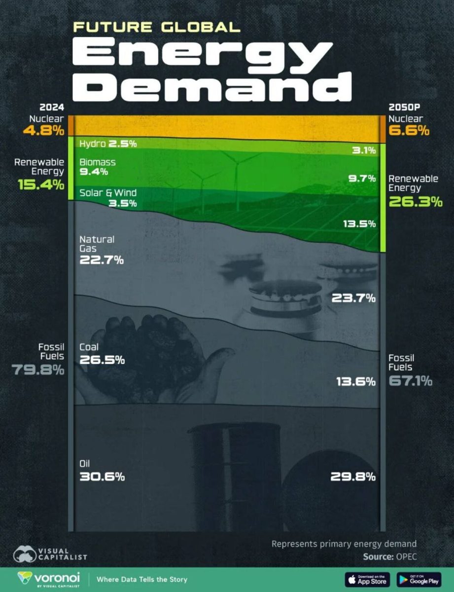    Трансформация энергетики: какое топливо будет доминировать в мире к 2050 году / © Visual Capitalist