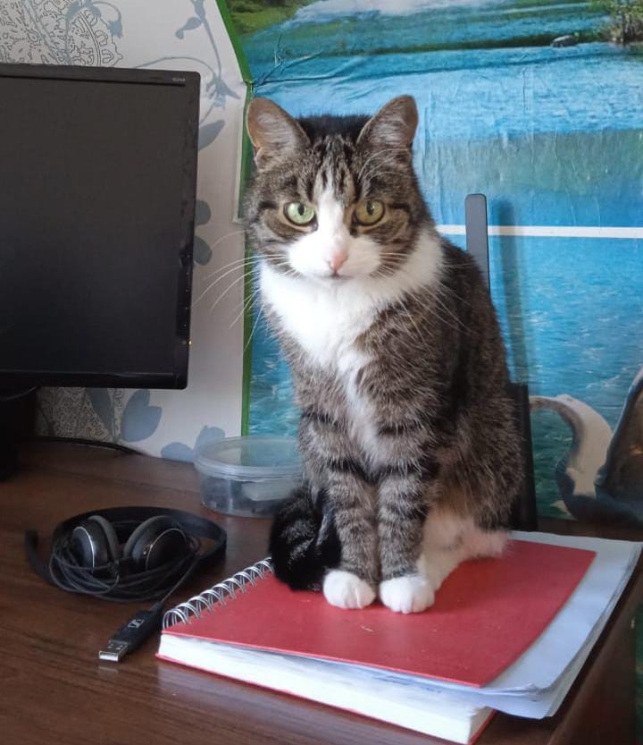 Благородная королевишна на даче