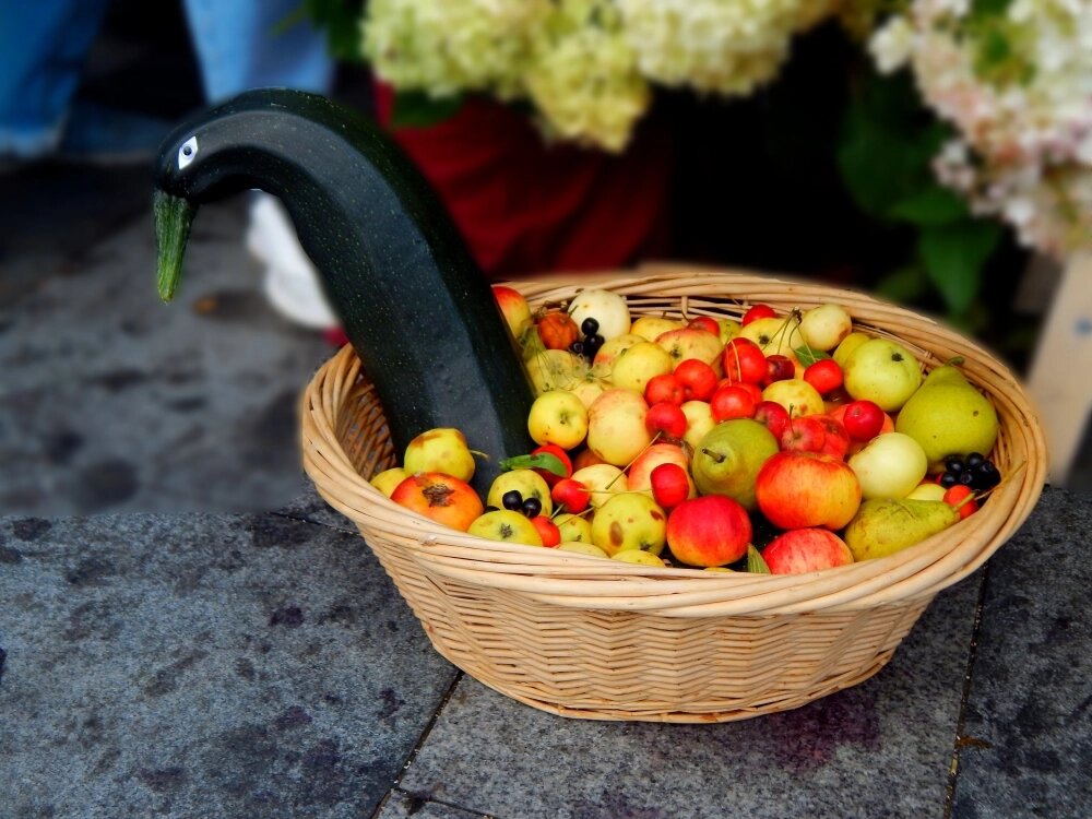    Фото: «АиФ-Урал»/ Дарья Попович
