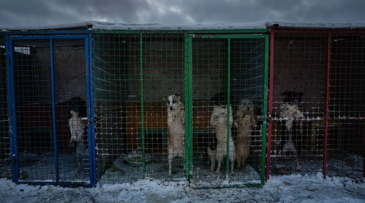 Просто сижу и плачу от того, как тяжело даются добрые дела...
