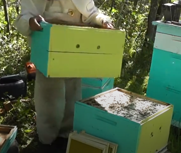 Корпус весом от 30 кг, это в будущем профессиональные болезни.