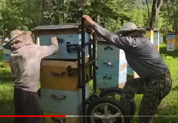 Апилифт не спасает, всё равно работать надо вдвоём и прилагать значительные усилия.